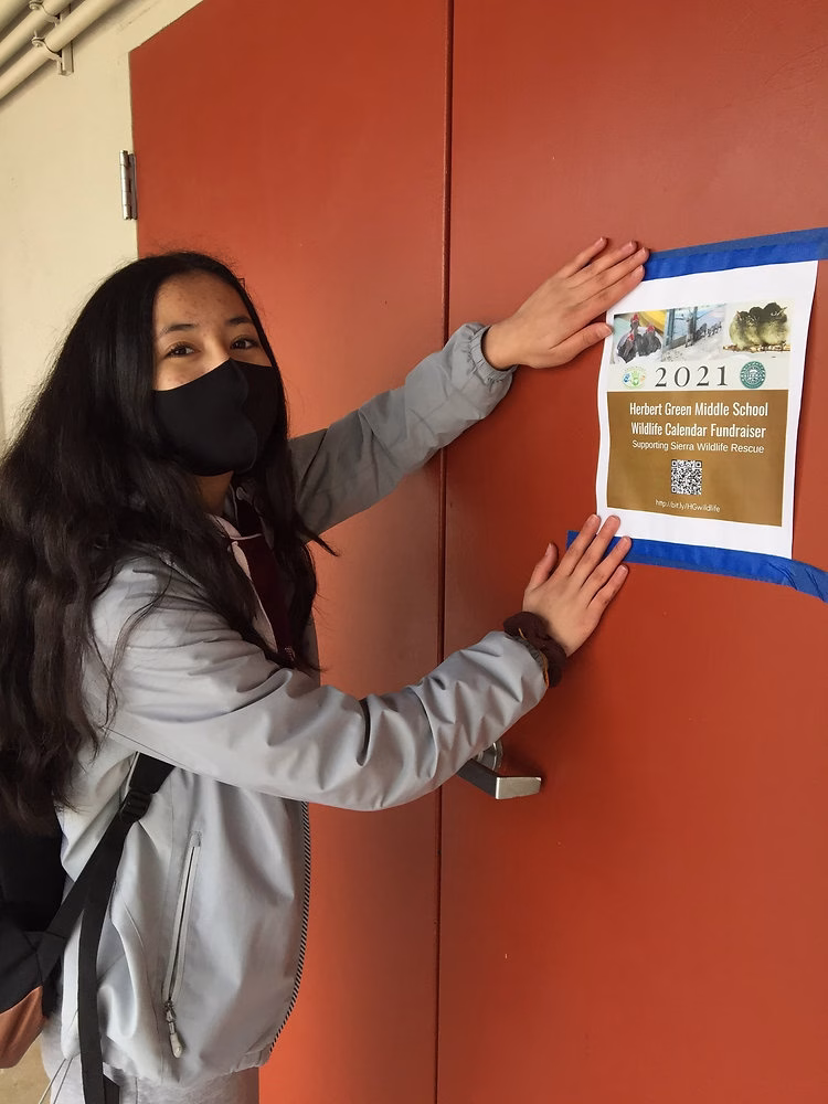 A young girl tapes a flyer to a red door, promoting a fundraiser event for Sierra Wildlife Rescue.